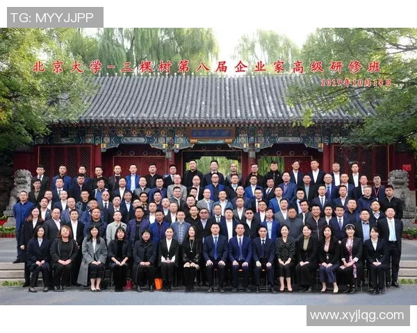 北京羽毛球队在钻石联赛中的崛起与成长历程全景回顾