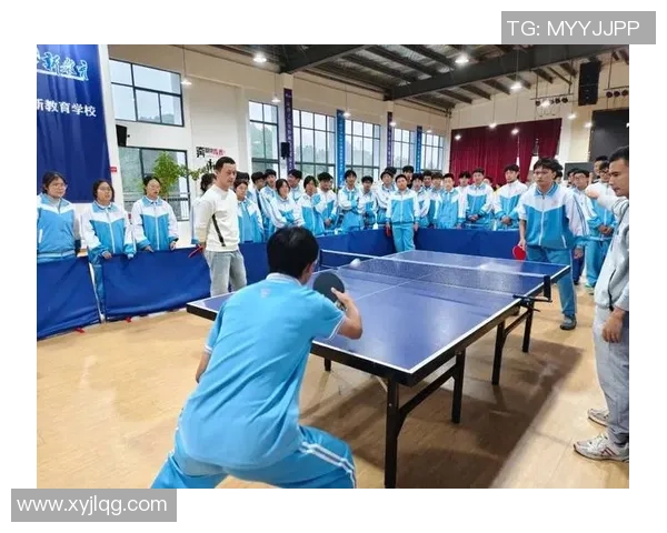 成都乒乓球队的团队协作之道揭秘与巨献乒乓球的魅力与精神