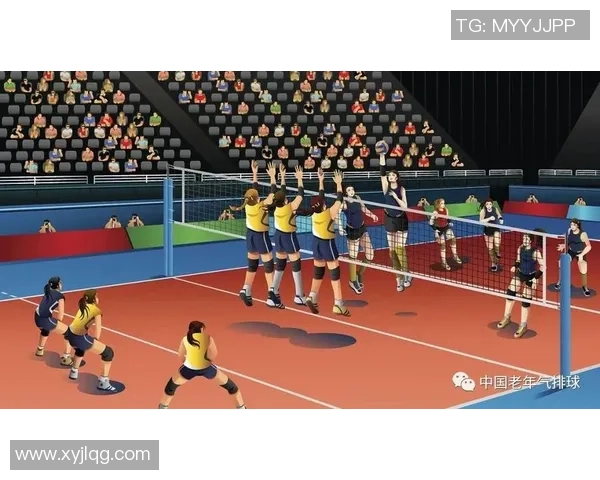 杭州排球队战术深度解析：从技术细节到团队协作的全面剖析