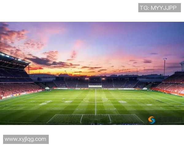 足球明星笔记本:记录绿茵场上的荣耀与梦想的心路历程 足球明星笔记本:记录绿茵场上的荣耀与梦想的心路历程