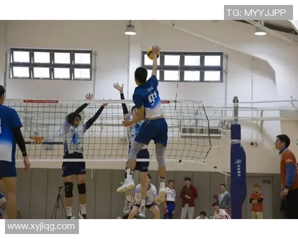 重庆排球队在排球状态排行榜中荣获第三名展现出强劲实力与团队合作精神