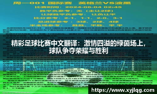 精彩足球比赛中文翻译：激情四溢的绿茵场上，球队争夺荣耀与胜利