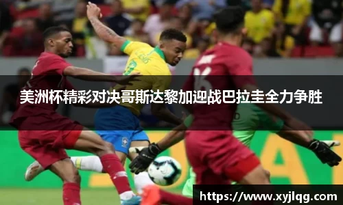 K1体育官方网站