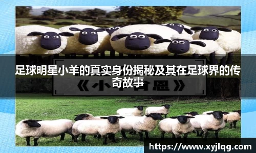 足球明星小羊的真实身份揭秘及其在足球界的传奇故事