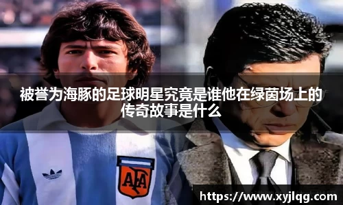 被誉为海豚的足球明星究竟是谁他在绿茵场上的传奇故事是什么